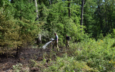 Snelle ingrijpen brandweer voorkomt dat bosbrand erger wordt in Loerbeek