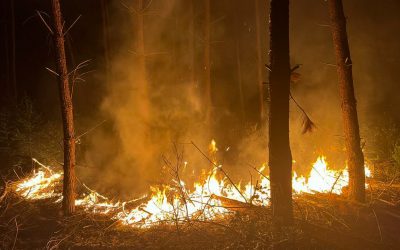 Brandje in bosperceel aan de Vennenlaan in Doetinchem